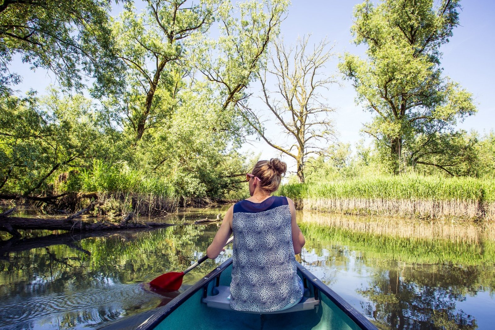 De Biesbosch National Park Holland